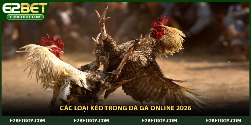 Các loại kèo trong đá gà online 2026