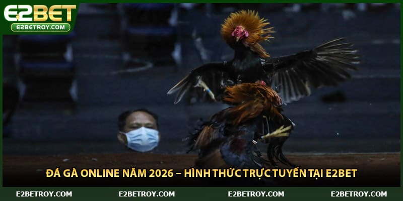 Đá Gà Online Năm 2026 – Hình Thức Trực Tuyến Tại E2bet