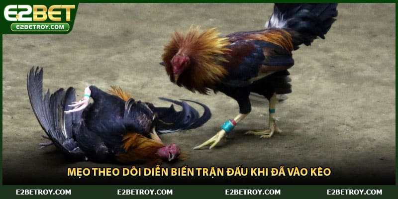 Mẹo theo dõi diễn biến trận đấu khi đã vào kèo