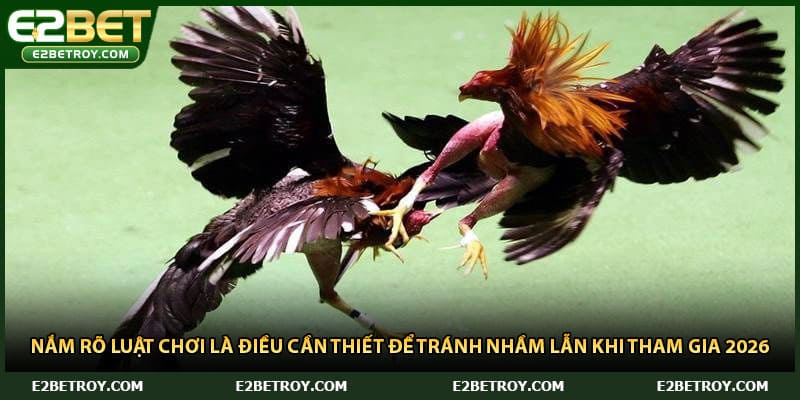 Nắm rõ luật chơi là điều cần thiết để tránh nhầm lẫn khi tham gia 2026