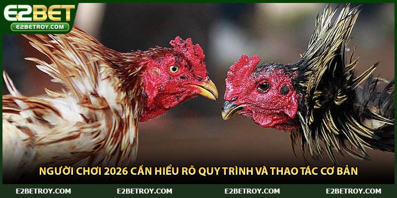 Người chơi 2026 cần hiểu rõ quy trình và thao tác cơ bản